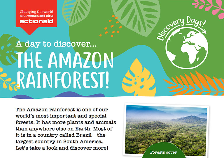 Rainforest activity pack