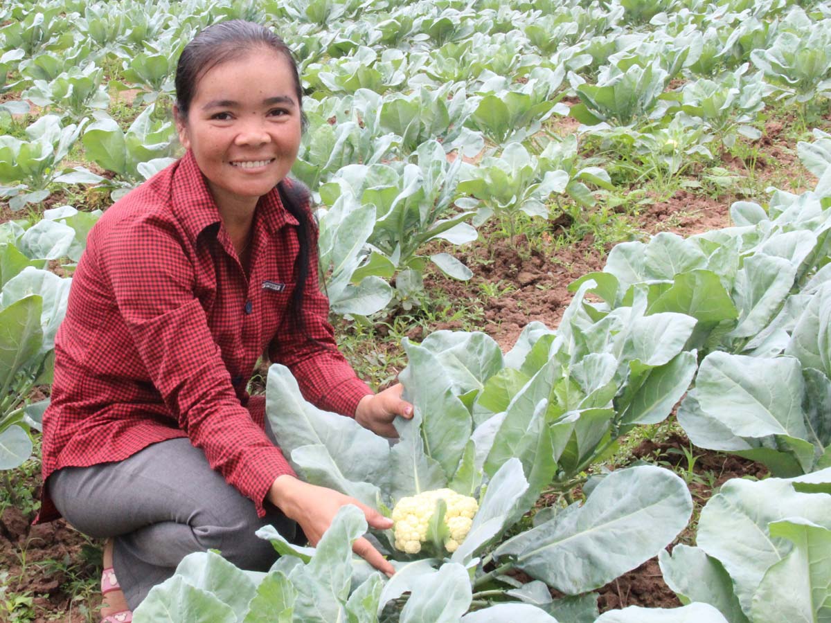 Cambodia
