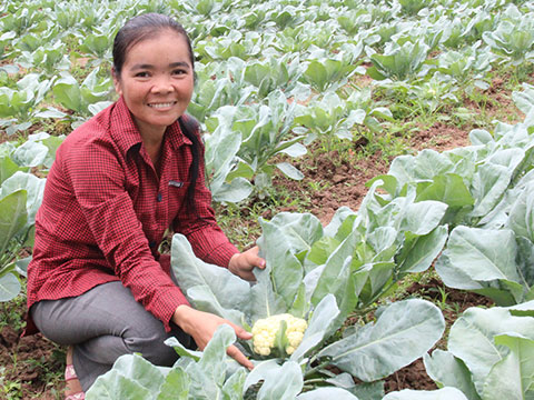 Cambodia