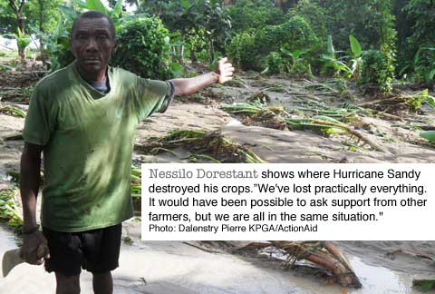 Destroyed crops in Haiti