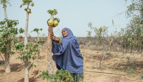 Habiba is a farmer in the Maroodi Jeex Region of Somaliland. She has experienced extreme losses since the climate change induced drought in 2022. Credit: Khadija Farah/ActionAid