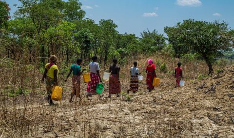 Zambia community