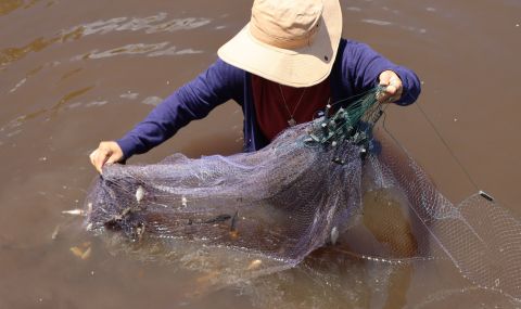 The Women-Led Alternatives to Climate Change in Cambodia (WLACC) project, implemented by ActionAid Cambodia, helps fisherwomen adapt to climate change through sustainable fishing practices.