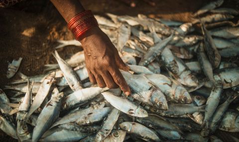 In Andra Pradesh, India, a fishing community has been supported with tools and training to help women to become economically independent. Poulomi Basu/ActionAid
