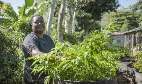 Jacqueline tending peppers in the garden belonging to the women's rights group that she manages, with support from ActionAid