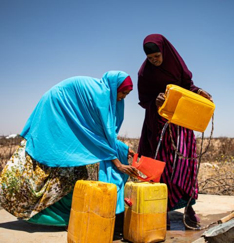 Amina, 40 is a farmer who lost her livelihood in Somaliland when her crops dried out during the drought this year.