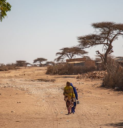 14 million people in the Horn of Africa are at risk of hunger, following late rains and rising temperatures.