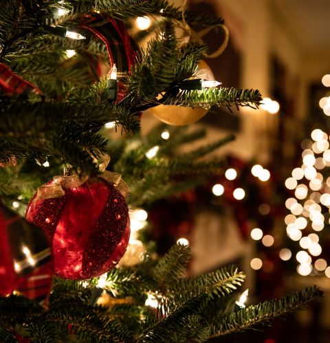 Charity Christmas cards