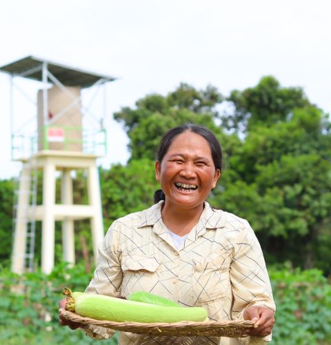 Rouren, 48, has been practicing agroecology under the Aid Match project in Cambodia.