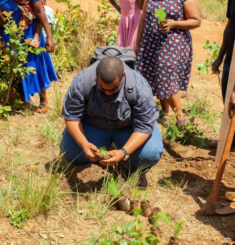 Donate in memory new 2023