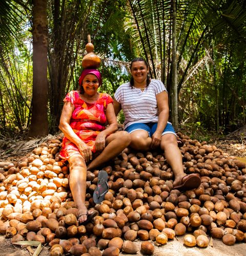 Two women sitting on a pile of coconuts in Brazil