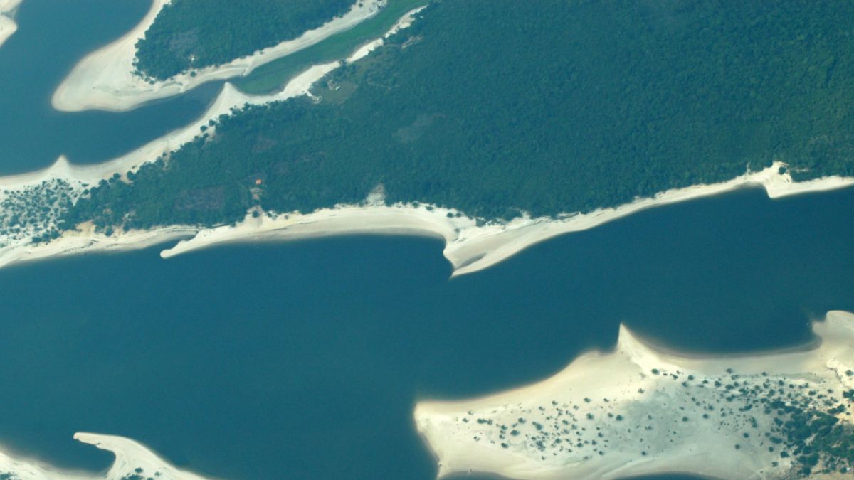 KS2 Why is the Amazon rainforest important? ActionAid UK