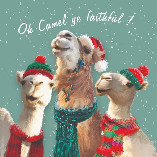 Camel ye faithful original
