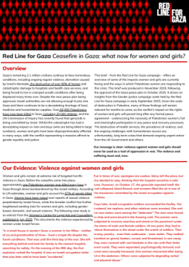 Red line for Gaza repot cover