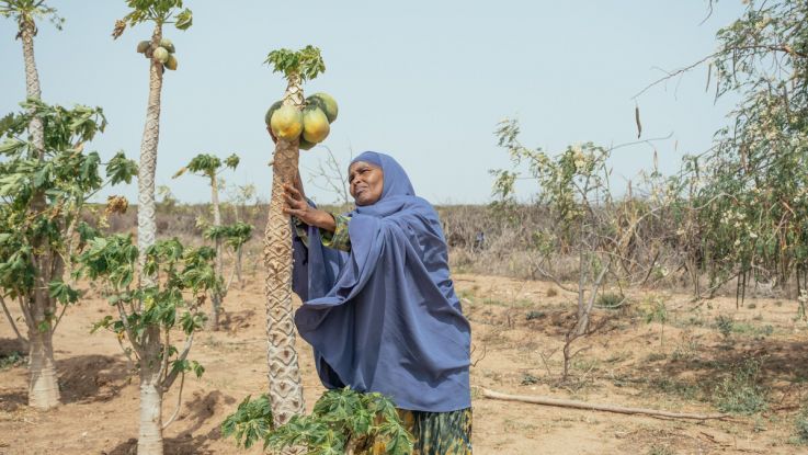 Habiba is a farmer in the Maroodi Jeex Region of Somaliland. She has experienced extreme losses since the climate change induced drought in 2022. Credit: Khadija Farah/ActionAid