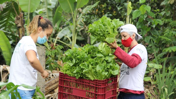 Women and Agroecology Program in Brazil