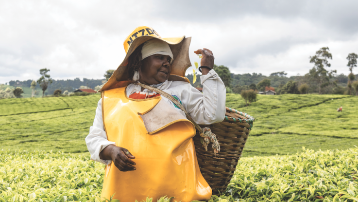 Jane, Kenya