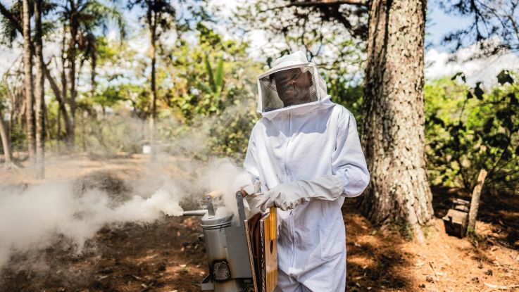 Beekeeper training