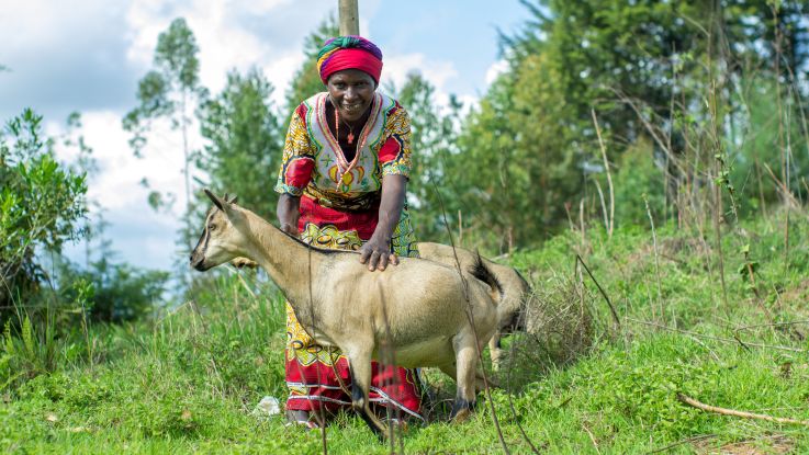 Climate smart goat