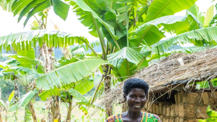 The little pig that can