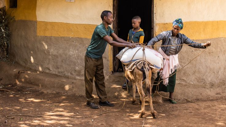 A family loading their items on a donkey