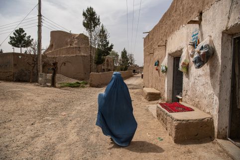 Afghanistan crisis 2021-2022