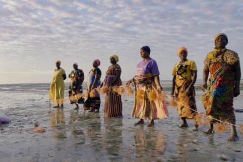 Women at seashore holding seaweed