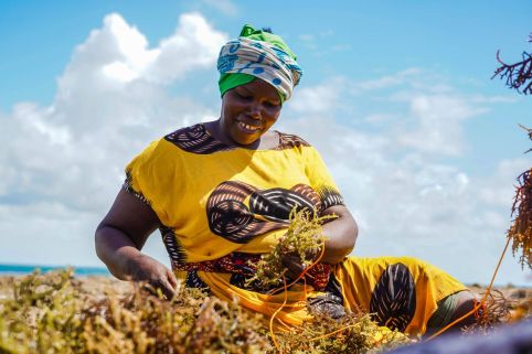 Climate change and agroecology