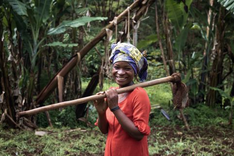 Transparency and accountability