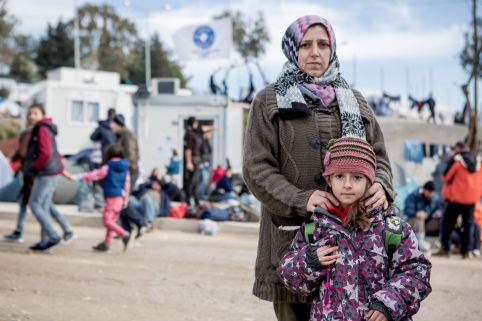 International refugee and displacement crisis