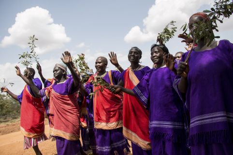 Women's rights organisations